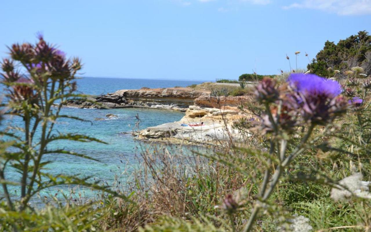 Casotto Il Carrubo, A 100 Mt Dal Mare! Βίλα Avola Εξωτερικό φωτογραφία